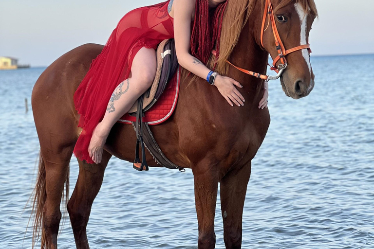 Hurghada: Abenteuerausflug mit Pferden durch die Wüste und zum StrandPrivater Ausritt in Hurghada: Wüste &amp; Strand