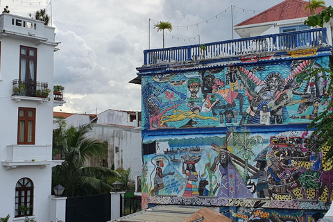 Panama City: Luxury Private City Tour