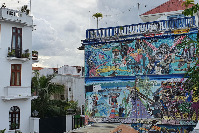 Panama City: Luxury Private City Tour