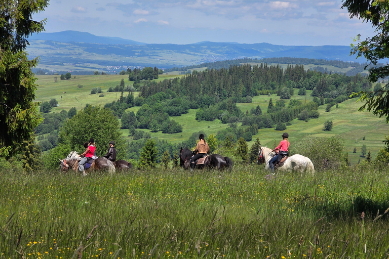 Zakopane: Tatra Mountains Horseback Ride & Thermal Baths