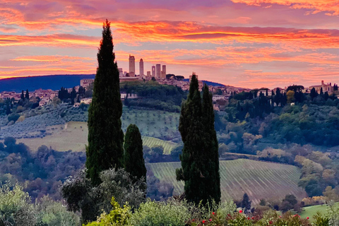 Horseback Riding with Wine Tour from Florence