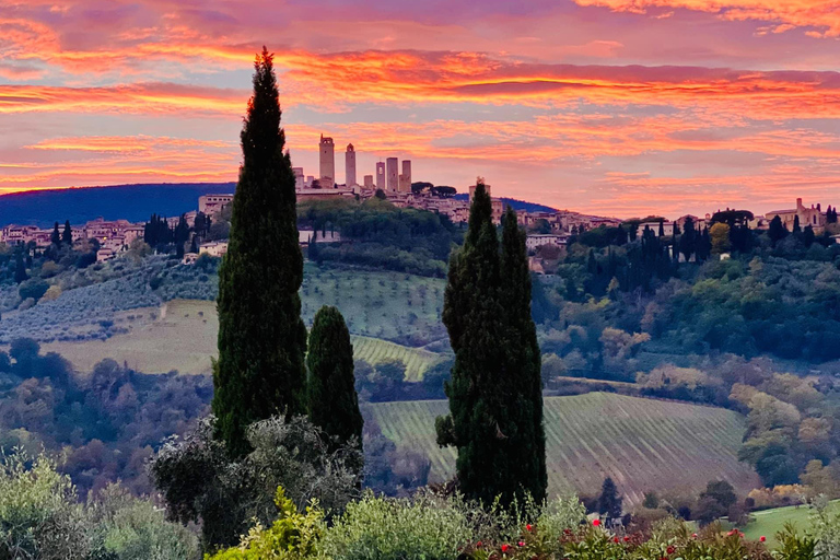 Horseback Riding with Wine Tour from Florence