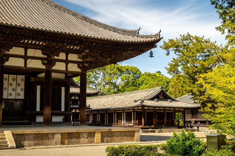 From Osaka: Nara 6 World Heritage Sites Day Tour with Guide