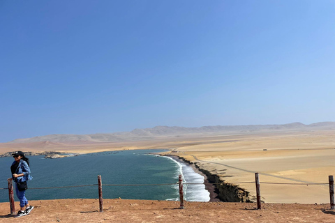 PREMIUM TREKKING GOLDEN SHADES