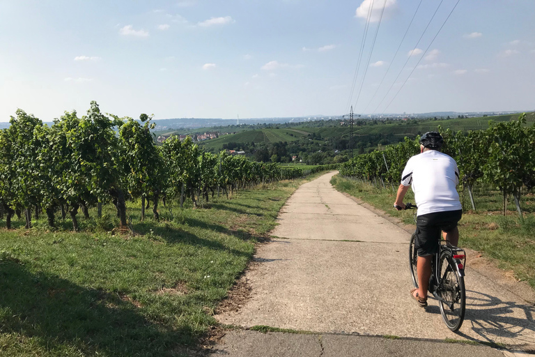 Stuttgart : visite du vignoble en vélo électrique, dégustation comprise