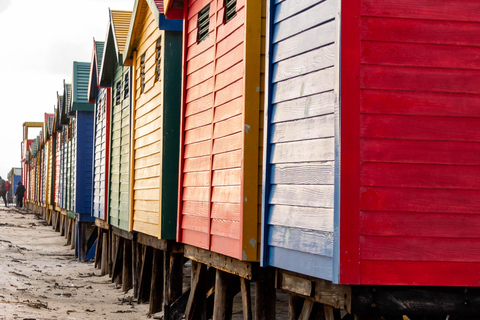 Kaap Schiereiland: Hele dag privé tour