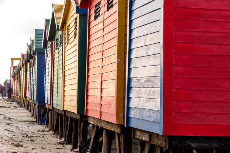 Kaap Schiereiland: Hele dag privé tour