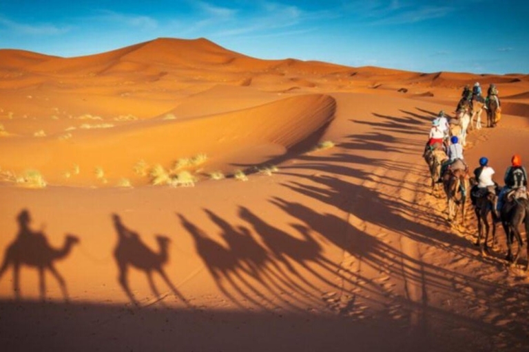 Doha: Woestijnsafari, sandboarden, kamelenrit en binnenzeeWoestijnsafari met kamelenrit