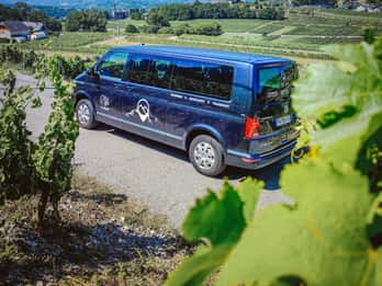 Tour del vino con conductor privado - 10 horas