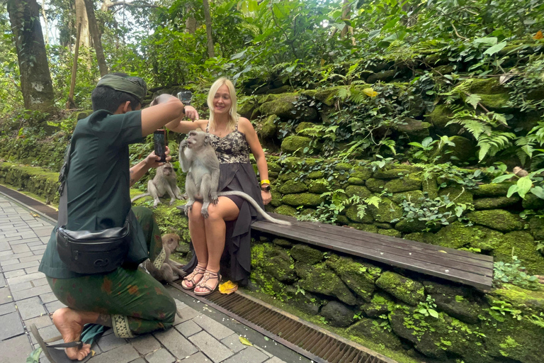 Full Day Tour To Ubud Included Ticket
