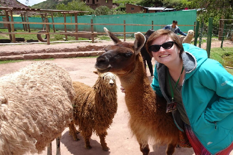 From Cusco: Cusco Machu Picchu Luxury Tour