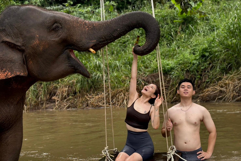 Chiang Mai: Santuário de elefantes, cascata e excursão de raftingServiço de busca no hotel