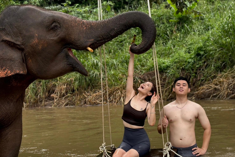 Chiang Mai: Santuario de Elefantes, Cascada y Excursión en RaftingServicio de recogida del hotel