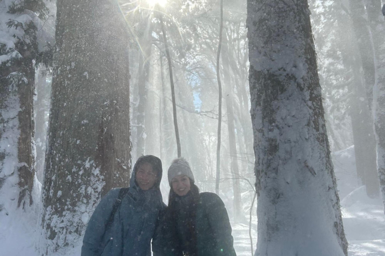 长野：雪猴与戸隠神社一日双景之旅从野泽温泉、妙高和上越地区接送。