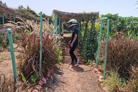 Agadir: Desert Quad & Camel Ride with Tea in a Berber Tent Single Quad Ride (1 Person per Quad)