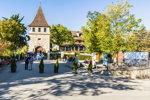 Rijnwatervallen: Bustocht vanuit ZürichRijnwaterval: bustour vanuit Zürich