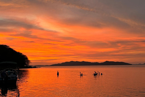Bioluminescence, sunset, and wildlife sightseeing tour from Puntarenas