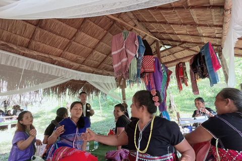 شيانغ ماي قرية كارين زراعة الشاي والثقافة والشلال في قرية كارين