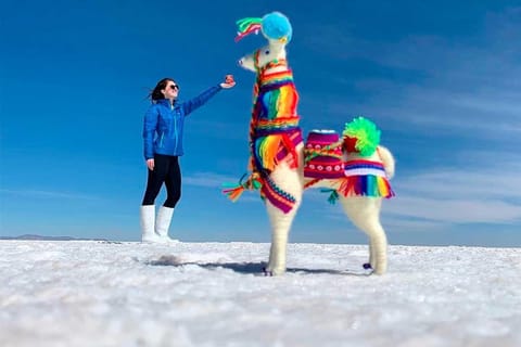Da Uyuni: Tour delle Saline di Uyuni + servizio fotografico + tramonto