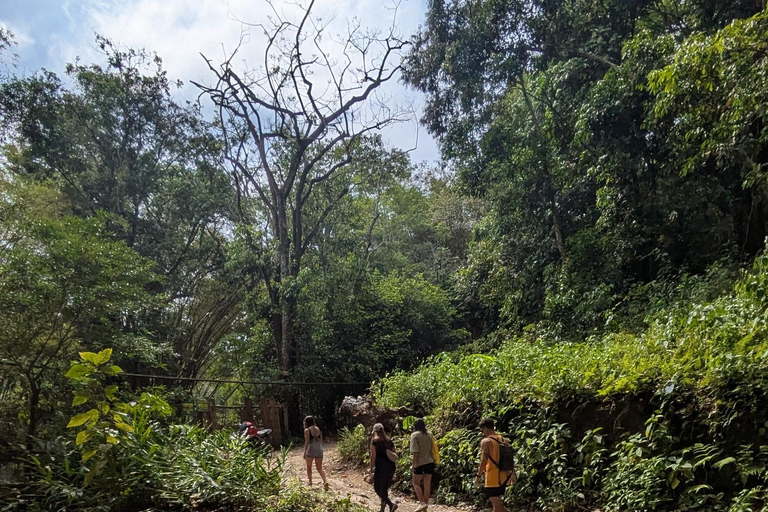 Minca: Hidden Waterfall Adventure and Artisanal Cocoa Workshop Waterfall + cocoa workshop + viewpoint - Departure from Minca