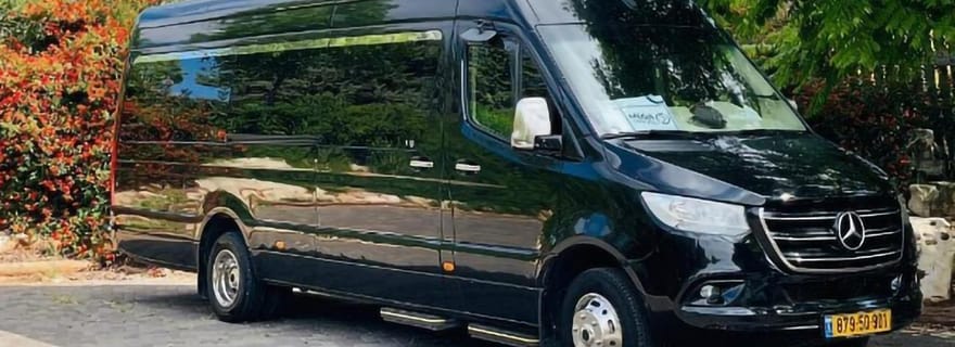 Tel Aviv : Transfert aéroport privé - Grand service