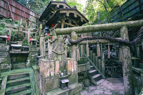 Kyoto: Randonnée cachée du sanctuaire Fushimi Inari de 3 heures