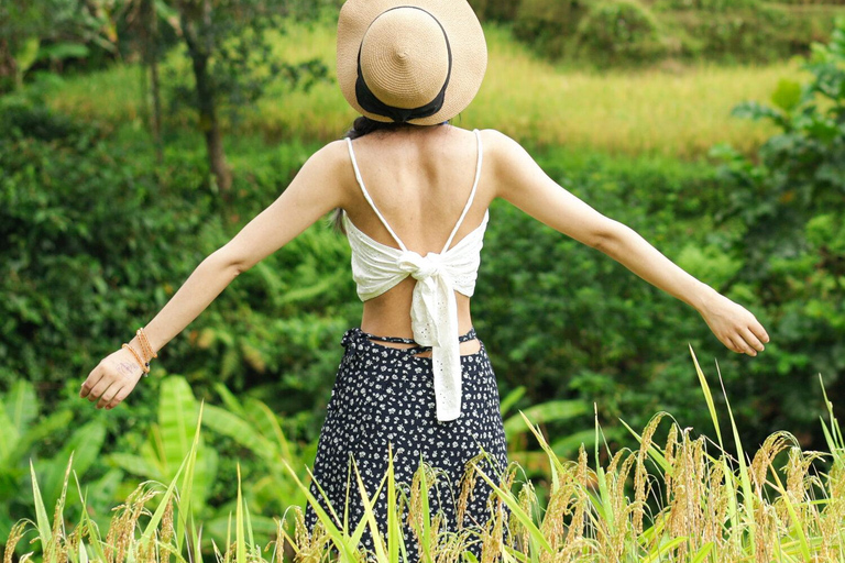 Bali: Visita guiada aos templos, cascatas e terraços de arrozTour de um dia com guia de turismo