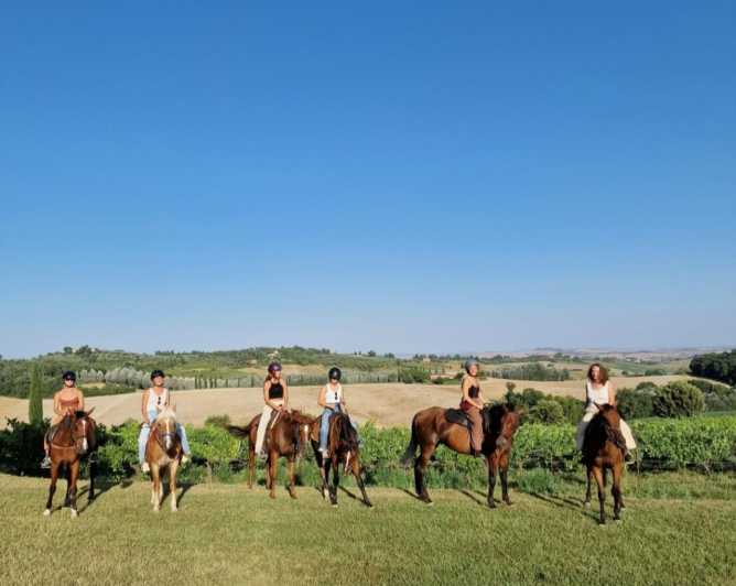 Sienne : 2 heures d'équitation dans la campagne siennoise