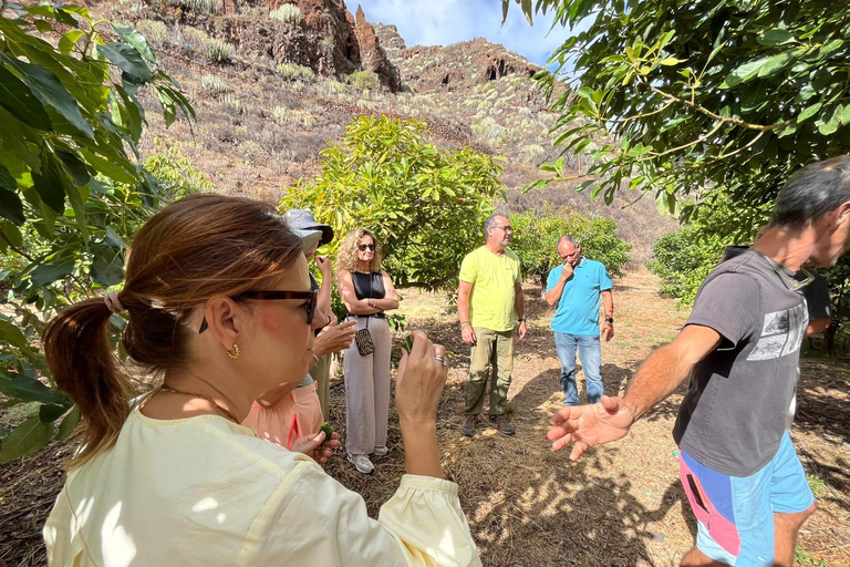Tenerife: Avocado Farm Tour with Tasting Menu & Wine