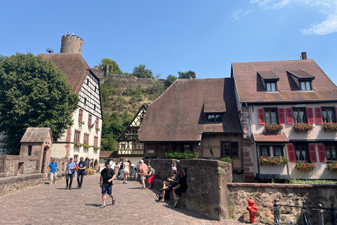 From Basel: Black Forest, Alsace & Colmar Private Day Trip