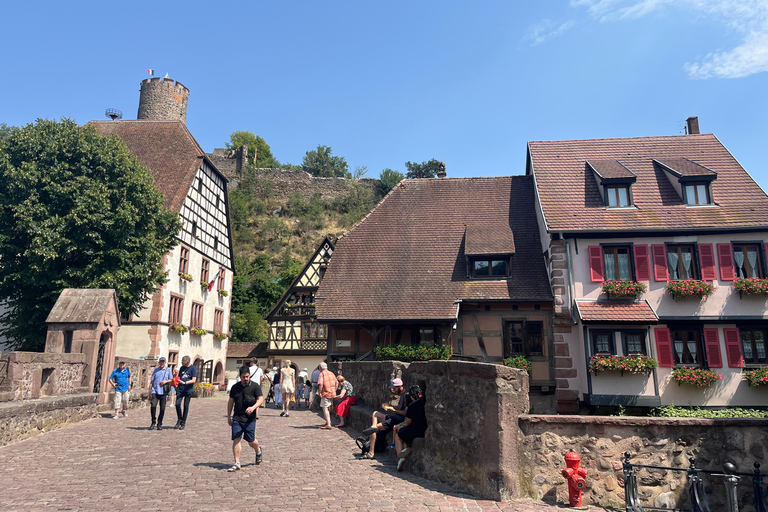 From Basel: Black Forest, Alsace & Colmar Private Day Trip