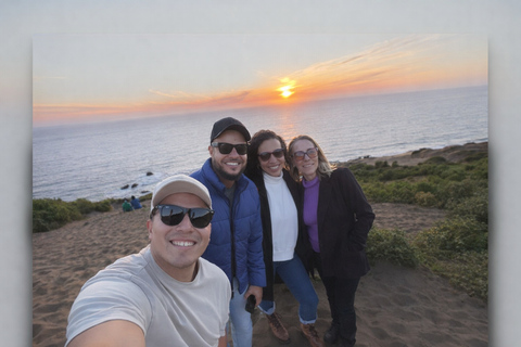 Santiago: Valparaiso, Llama Vineyard & Concon Dune Sunset
