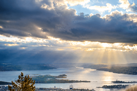 Vettakollen Viewpoint&Holmenkollen Ski Jump(Cruise-Friendly)