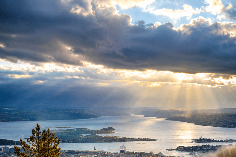 Vettakollen Viewpoint&Holmenkollen Ski Jump(Cruise-Friendly)