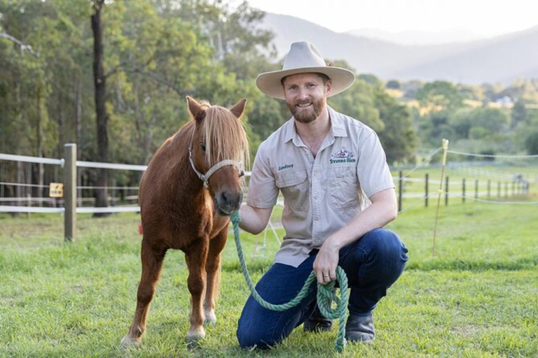 Brisbane: Trevena Glen Farm 1 uur dierenervaring