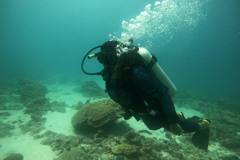 Mirissa: Unforgettable Scuba Diving Experience with Coral Fun Scuba Diving for Experienced Divers (One Tank)