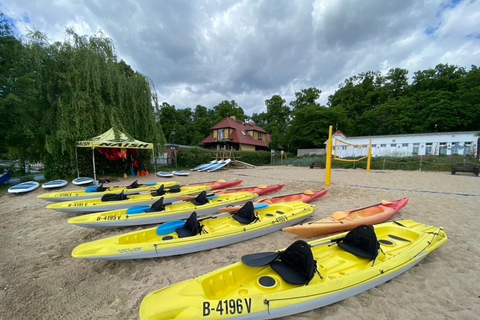 Berlin: Scharmützelsee Canoe or SUP Rental Hourly Rental - Scharmützelsee 1 SUP for 1-2 people