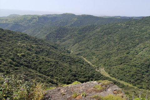 Salalah: Al Fazayah Beach, Shaat Viewpoint & Mugsail Tour