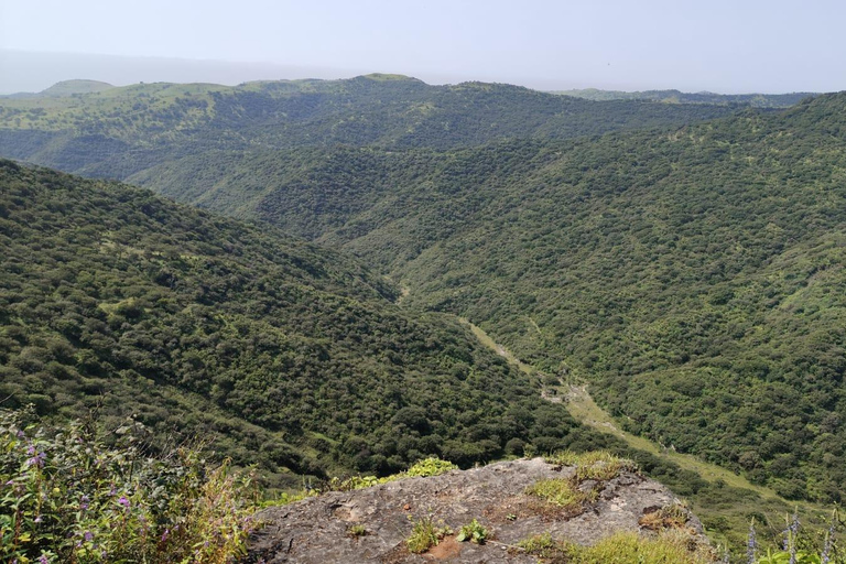 Salalah: Al Fazayah Beach, Shaat Viewpoint & Mugsail Tour