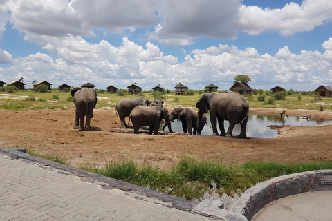 Village tour: A Journey into Authentic Zimbabwean Culture