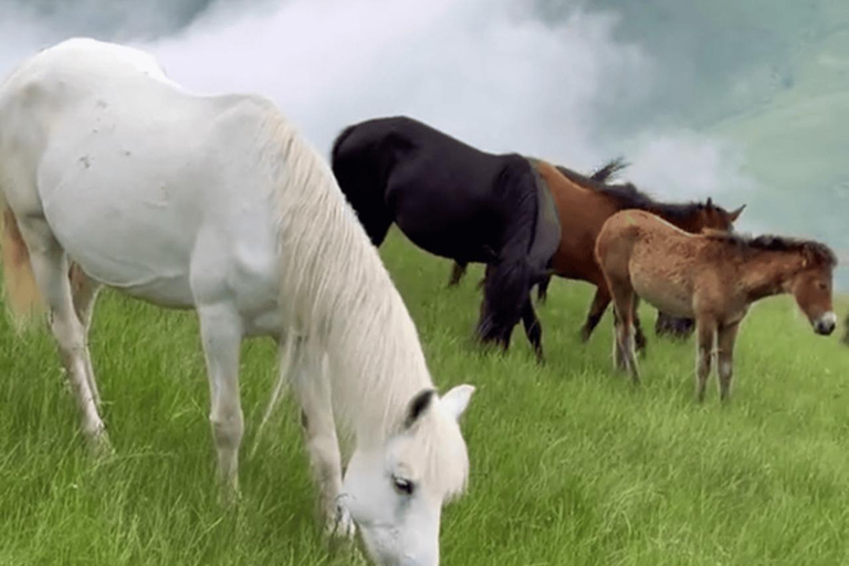 From Tirana: Valbona Valley and Prizren 2 Day Tour German-speaking