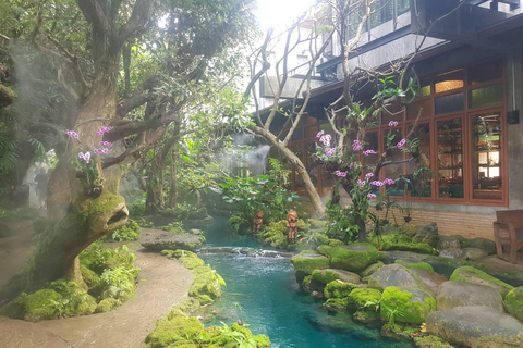 Gems of Chiangmai : Dantewada, Wat Ban den, Sticky Waterfall