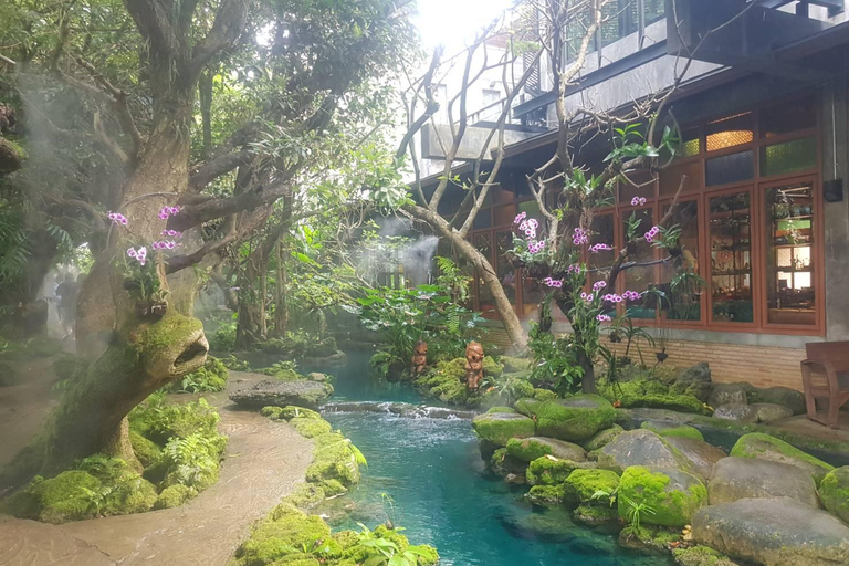 Gems of Chiangmai : Dantewada, Wat Ban den, Sticky Waterfall