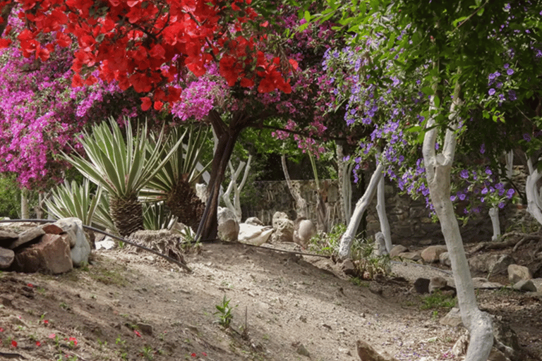 Kreta: Botanisches &amp; Bergabenteuer mit lokalem Essen