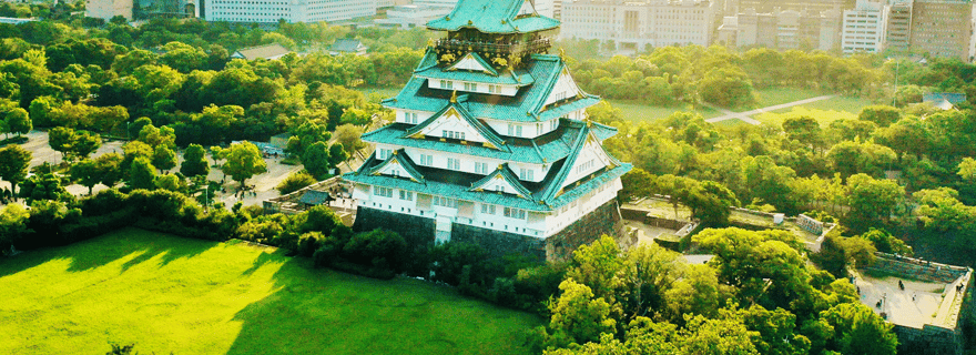 Osaka: ingresso alla torre del castello / tour a piedi guidato