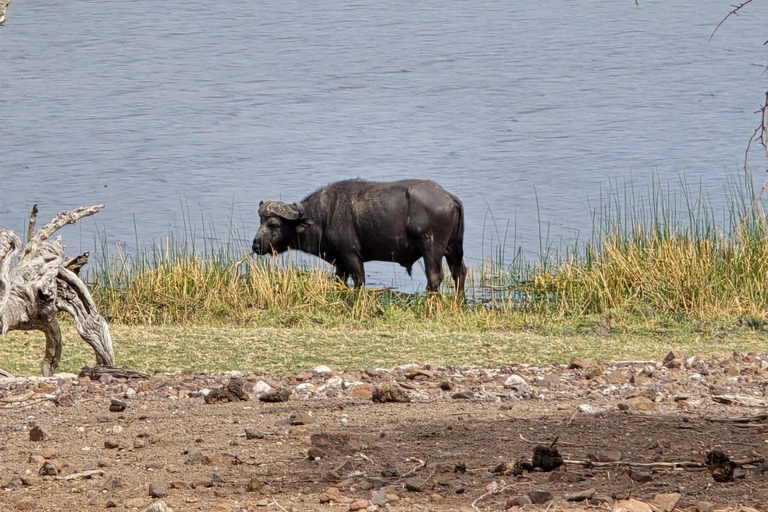 Crucero al atardecer por el río Chobe