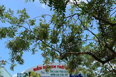 From Ho Chi Minh City: Mekong Delta with Lunch Group