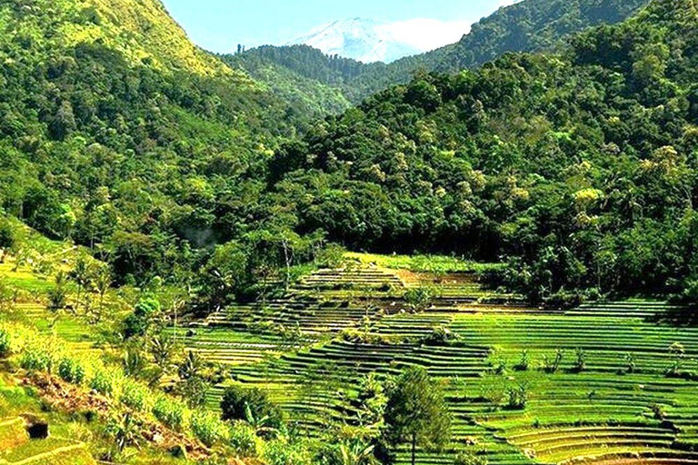 Selogriyo Temple and Java Rice Terrace Guided Trekking Tour Selogriyo Temple Java Rice Terrace Guided Trekking Tour