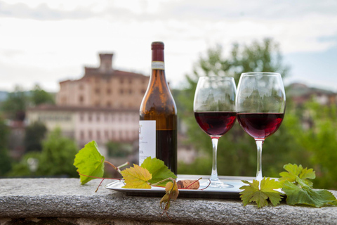 Vanuit Milaan: Barolo wijnproeverij, Alba tour en kasteelbezoek