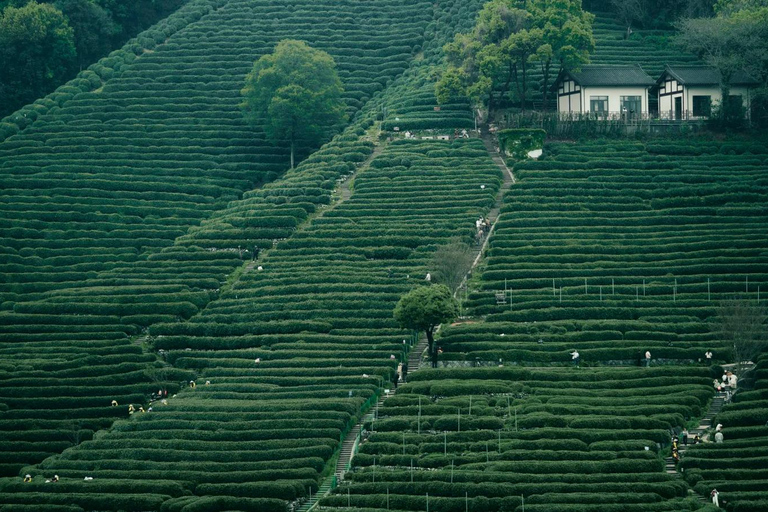 Wuxi: Hangzhou Nine Creeks & Longjing Tea Village Day Trip